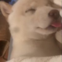 可愛くて思わず撮影…