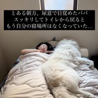 ベッドで添い寝する犬
