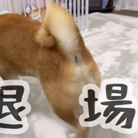 そそくさと退場