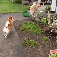 外で遊んでいた幸太郎くんと凛ちゃん8