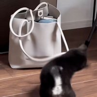 取っ手を振り回すきびくん