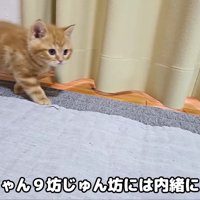 先輩たちにはまだ秘密