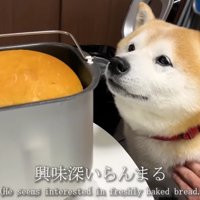 パンが完成！！