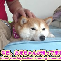 長女の凛ちゃん