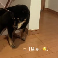 「はあ…」