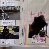 虹色に囲われる