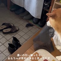 「やった！」