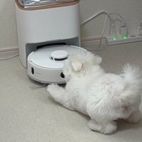 遊ぼう