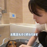いつでも品がないとね