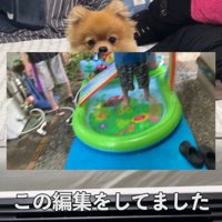 何かを訴えるむぎちゃん7