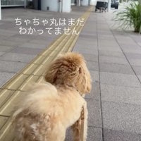 奥からお姉ちゃんが歩いてきます