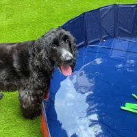 ルーク君は水が怖くて入れません…！