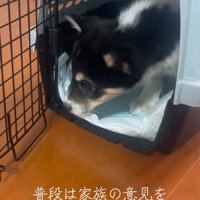 普段は優しいお父さんが…
