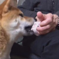 「はい、完成！」