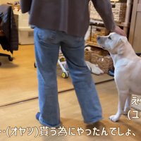 ご褒美をおねだり♪