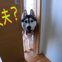 心配してくれています