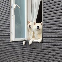 見守り