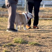 馴染んでいるぱせり君