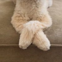 余裕