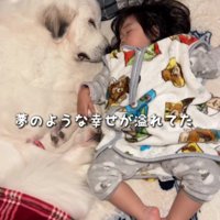 微笑ましい光景にホッコリ