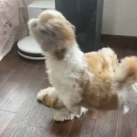 奈々