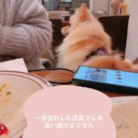 熱い視線を送り続けます