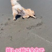 感情表現豊か！！