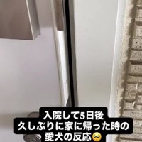 5日ぶりに帰宅したら…