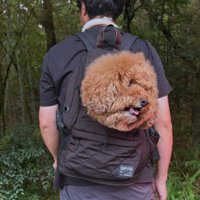 まるで合成みたい…