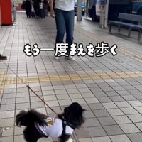 次は気付くかな？