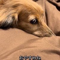 眠りにつくティナちゃん