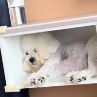 この場所が落ち着くのかも？