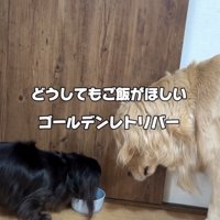 「まだまだ食べたい…！」