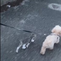 親だと思っていたのかな？