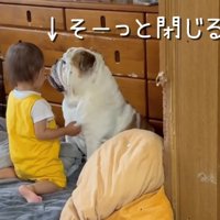 ゆっくり口を閉じる犬と子ども