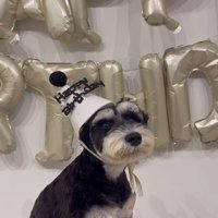 ボセくんの成長記録8