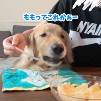 桃を食べるコロッケくん6