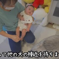 赤ちゃんと触れ合ってみる