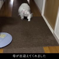「おばあちゃん！！」