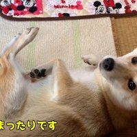 パパさんに寄り添ってリラックス