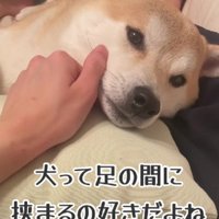 最高に愛おしい…♡