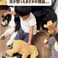 レアちゃんをなでるお兄ちゃん