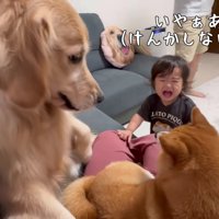 もみ合いになってしまった