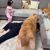 パパがサポートに入り…