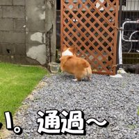 もう一度全力でお見送り♪