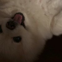 笑顔のぽちゃちゃん