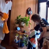 立ち上がって老年女性に近づく犬