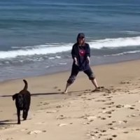 軽快に戻ってくるロコくん