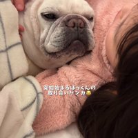 子供たちに囲まれながら遠くをぼんやり見つめる犬