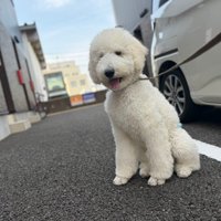 あどけない表情がたまらない♡